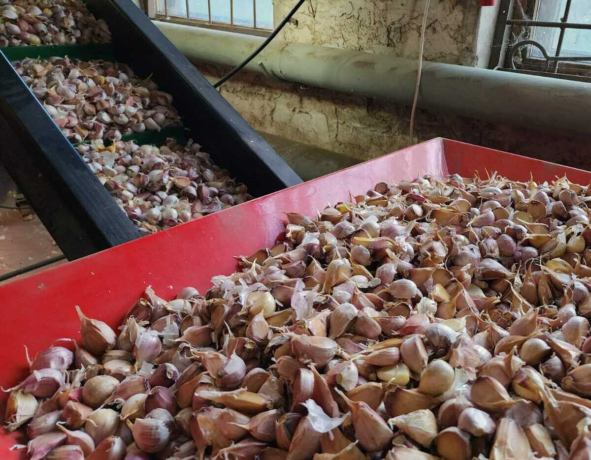 <span style="font-weight: bold;">Калибровка зубков </span>